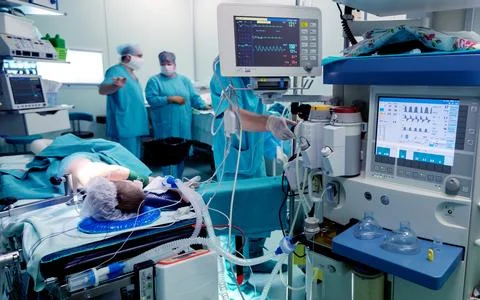 Team surgeon at work in operating room. Stock Photos