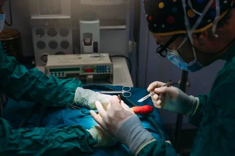 Team of Surgeons Operating in the Hospital. Stock Photos