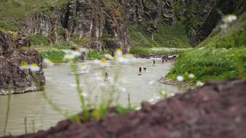 A team of tourists rowing on a SUP board along the river among the rocks Stock Footage 209799199