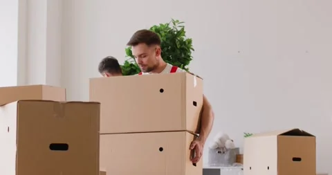 Team of uniformed porters work efficiently carrying cardboard boxes and potted Stock Footage 279231795