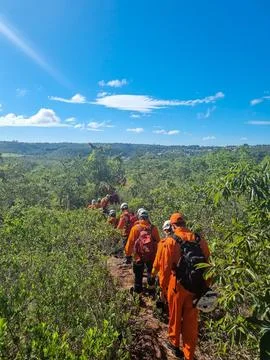 Team walking through dense forest Stock Photos
