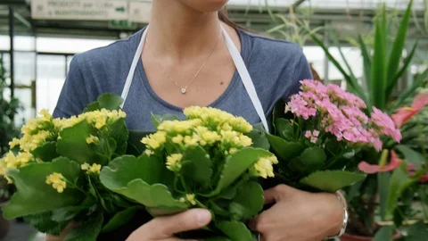 Team Work With Happy Colleagues Working In Florist Shop Stock Footage 118838270