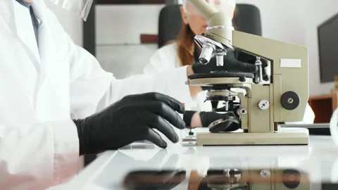 Team work of scientists entomologists man and woman on the study of insects as a Stock Footage 241666308
