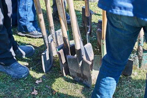 Team of workers ready to start planting trees with their shovels, teamwork Stock Photos