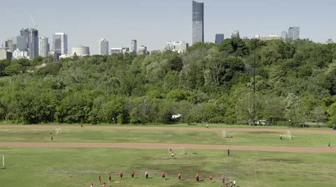 Team workout in the park. 4K UHD. Stock Footage 51143716