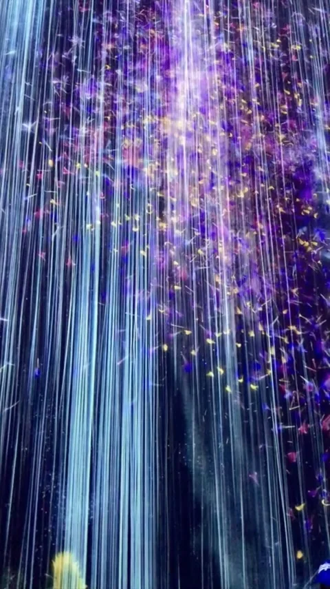 TeamLab Borderless Stock Footage 286275622