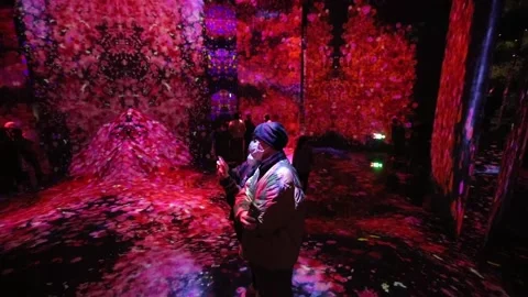 TeamLab Massless' immersive museum opens in Beijing, Beijing, CN - 24 Dec 2022 Stock Footage 227886369