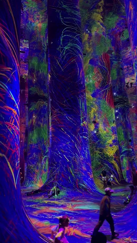 TeamLab phenomena is an art museum that utilizes digital technology to create Vidéo 307623049