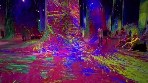 TeamLab phenomena is an art museum that utilizes digital technology to create Vídeos de archivo 308450013