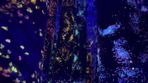 TeamLab phenomena is an art museum that utilizes digital technology to create Vídeos de archivo 308450016