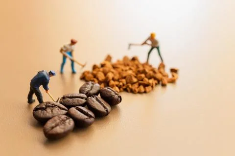 Teams work extremely well together on coffee blend process Stock-Fotos