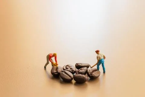 Teams work extremely well together on coffee blend process Foto stock