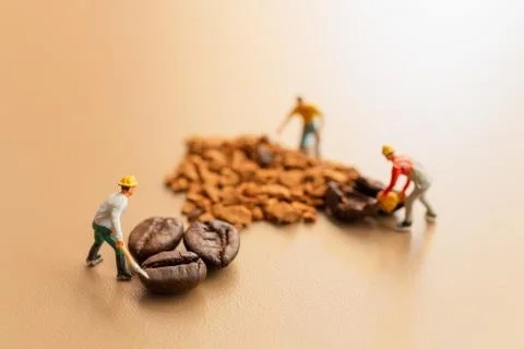 Teams work extremely well together on coffee blend process Foto stock