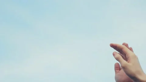 Teamwork concept. team community joins hands together. group of people hands Stock Footage 132597499