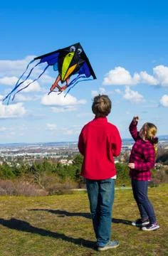Teamwork to control a kite Foto stock