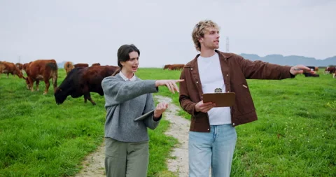 Teamwork, farm and people with tablet, cows and countryside with internet Stock Footage 335933929