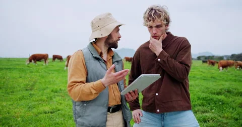 Teamwork, farming and men with tablet, agriculture and countryside with Stock Footage 318565087