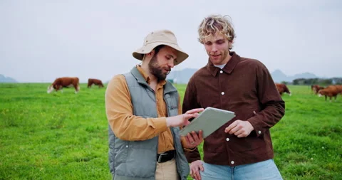 Teamwork, farming and men with tablet, countryside and talking with app Stock Footage 335792830