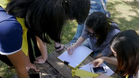 Teamwork / Group brainstorming discussion and team building Stock Footage 106372383
