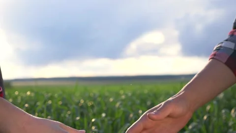 Teamwork. Handshake close-up. A man and a woman, farmers, shake hands. The path Vídeos de archivo 132258632
