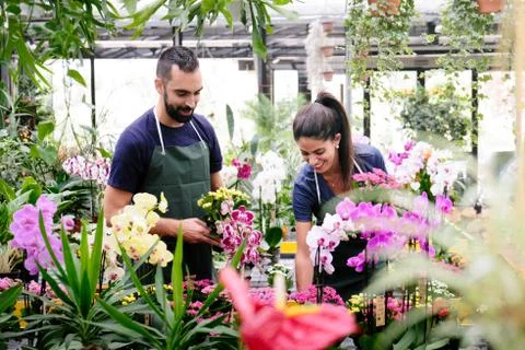 Teamwork With Happy Co-workers At Work In Florist Shop Stock Photos