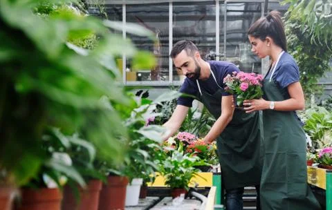 Teamwork With Happy Co-workers At Work In Florist Shop Stock Photos