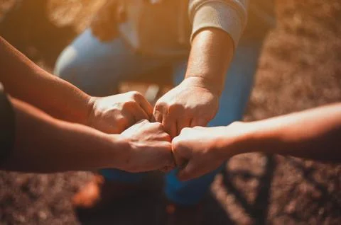 Teamwork is the highest quality. 库存照片