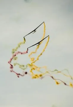 Teamwork Stock Photos