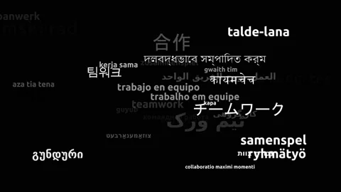 Teamwork Translated in 33 Worldwide Languages Endless Looping 3d Zooming Word Stock-Footage 145206944
