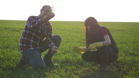 Teamwork. Two farmers a man and a woman work on the field in the evening before Video stock 121529477