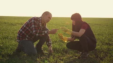 Teamwork. Two farmers a man and a woman work on the field in the evening before Stock-Footage 122687967