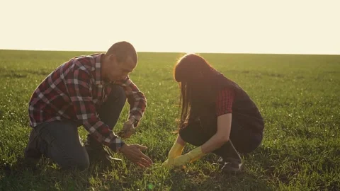 Teamwork. Two farmers a man and a woman work on the field in the evening before Stock Footage 132206280