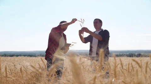 Teamwork of two farmers in a wheat field. The path to success and victory Vídeos de archivo 121529578