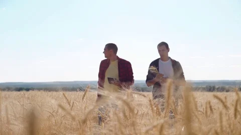 Teamwork of two farmers in a wheat field. The path to success and victory Stock-Footage 122687763