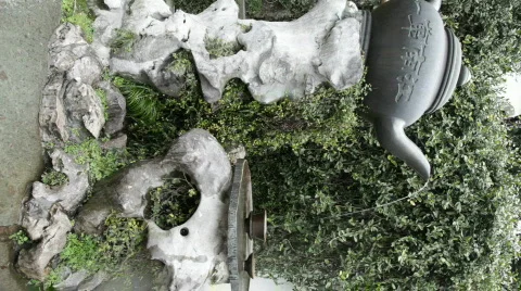 Teapod Stock Footage 511638