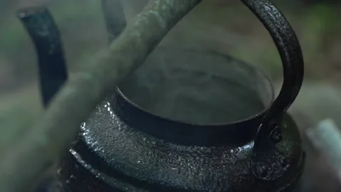 Teapot Boiling Over Campfire 動画素材 310826609