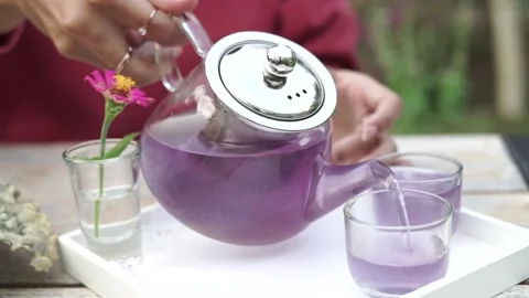A teapot of eagle flowers or in Indonesia known as Bunga telang extract tea Stock Footage 202264169