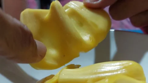 Tear the jackfruit by hand. Stock Footage 277033147