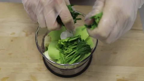 Tear the spinach Stock Footage 146574164
