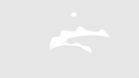 Teardrop cartoon animation Stock Footage 311090990