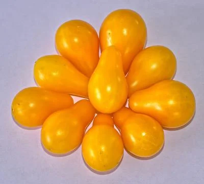 Teardrop Cherry Tomatoes Isolated Stock Photos