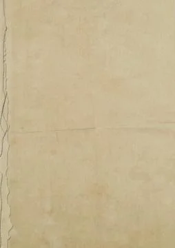 Teared Paper Texture Illustrazione stock