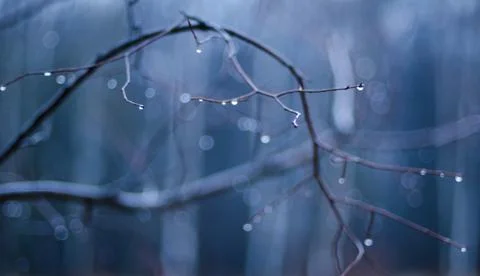 Tears of autumn Stock Photos