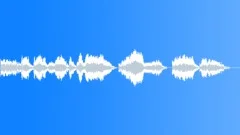 Tears in the Diamond Bowl (acapella) Stock Music