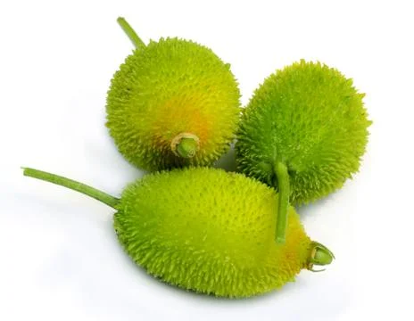 Teasel gourds Stock Photos