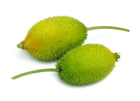 Teasel gourds Stock Photos