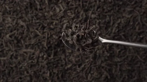A teaspoon scooping up black loose-leaf tea and being examined in detail. Close Stock Footage 237875023
