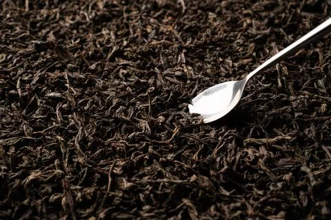 A teaspoon scooping up black loose-leaf tea and being examined in detail. Close Stock Photos