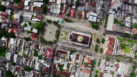 Teatro Amazonas top down aerial drone descent over opera house roof and Largo Stock Footage 346117501