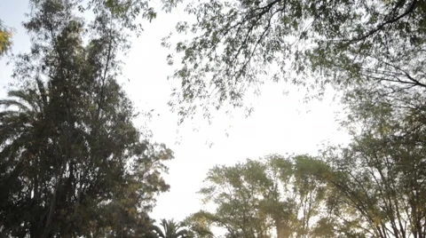 Tecate - Main Square Stock Footage 47397500